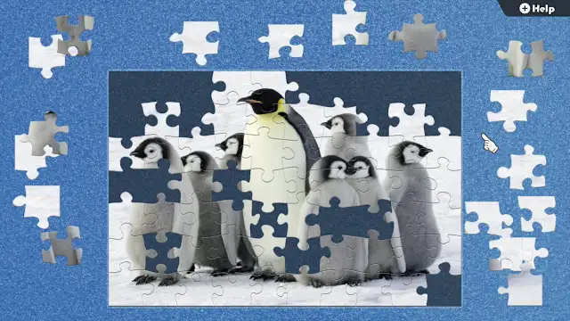 Parental Love in the Animal Kingdom screenshot 1