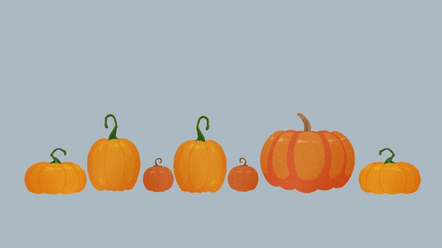 Find Sort Match - Autumn Pack screenshot 5