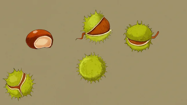 Find Sort Match - Autumn Pack screenshot 0
