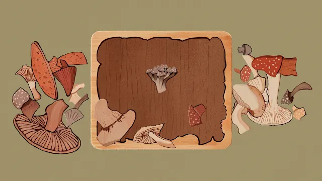 Find Sort Match - Autumn Pack screenshot 2