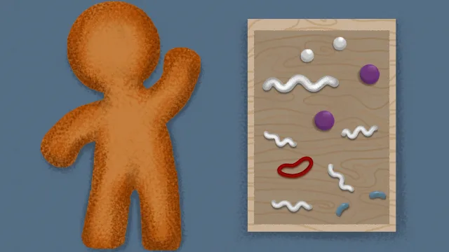 Find Sort Match - Christmas Pack screenshot 3