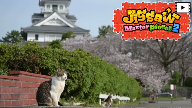 [Moving] Street Cats in Japan
