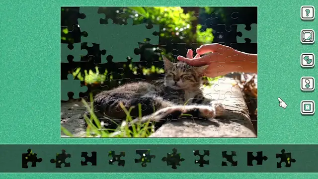 [Moving] Street Cats in Japan screenshot 0