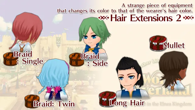 Hair Extensions 2