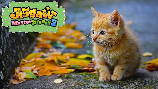 Kittens’ Day