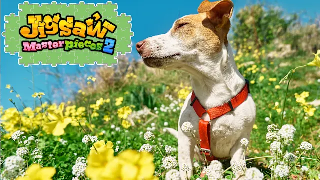 Animals with Flowers