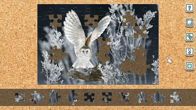 Wildlife in the Snow screenshot 0