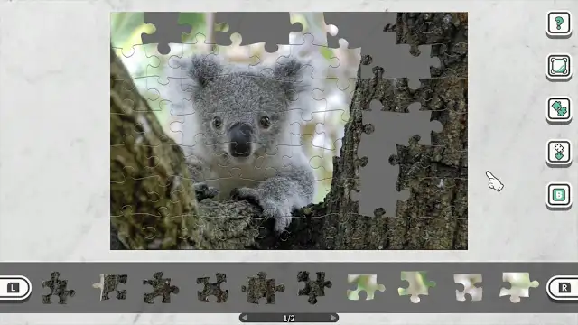 Animals Looking at the Camera screenshot 2