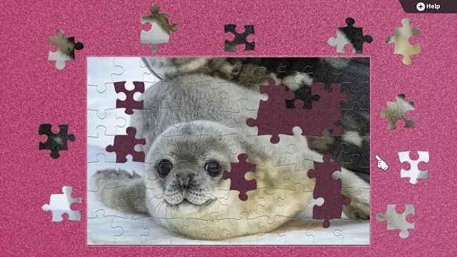 Animals Looking at the Camera screenshot 1