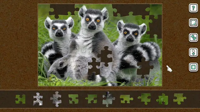 Animals Looking at the Camera screenshot 0