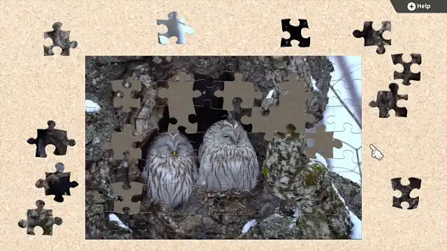 [Moving] Wild Animals screenshot 1