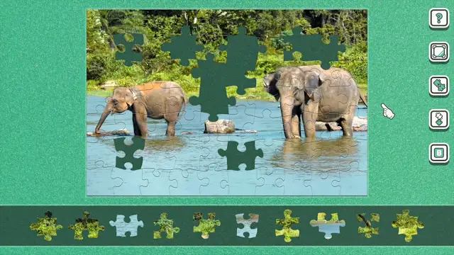 [Moving] Wild Animals screenshot 0