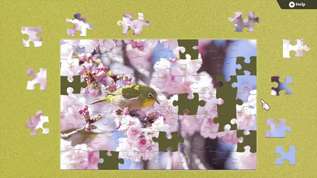 Little Songbirds screenshot 1