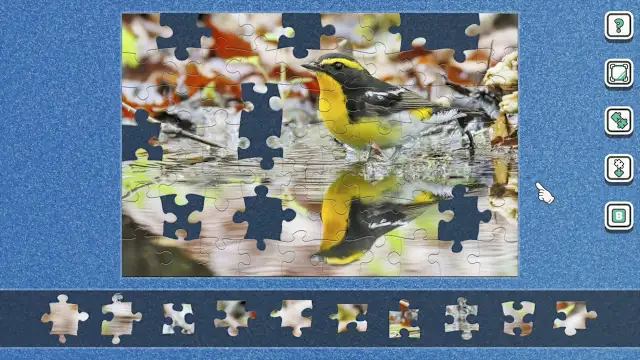 Little Songbirds screenshot 2