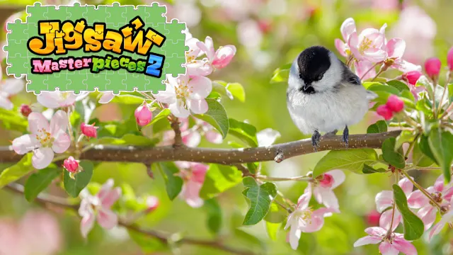 Little Songbirds