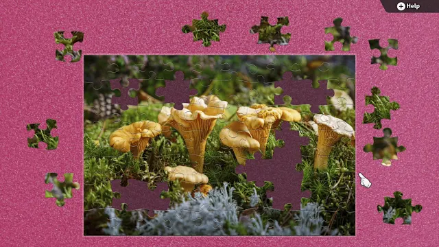 Tiny Forest Mushrooms screenshot 1