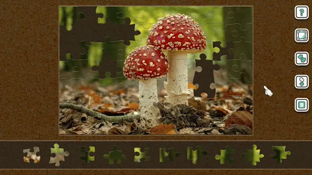 Tiny Forest Mushrooms screenshot 0