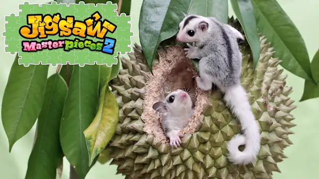 Cuddly Little Animals