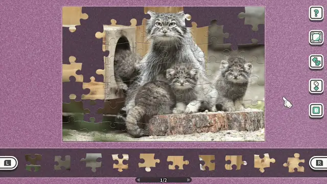 Cuddly Little Animals screenshot 2