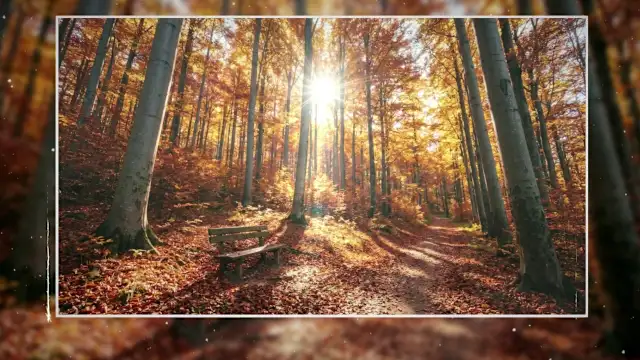 Puzzle Galaxy: Nature’s Silence - 57 new puzzles screenshot 2