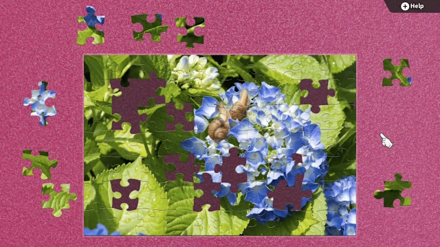 Flowers and Little Friends screenshot 1