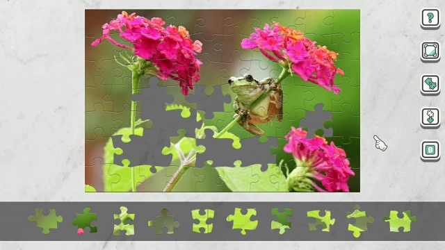 Flowers and Little Friends screenshot 2