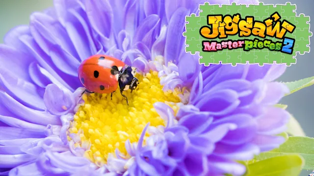 Flowers and Little Friends