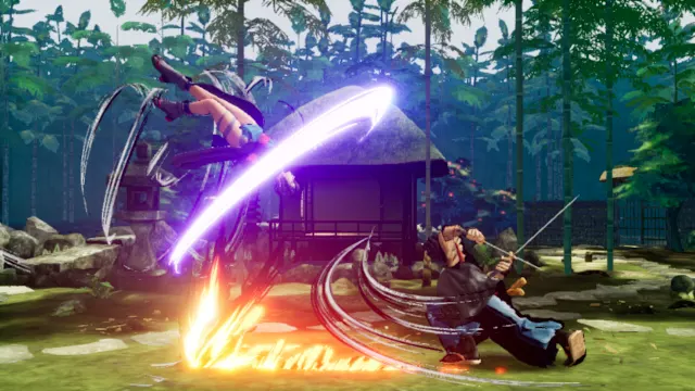 SAMURAI SHODOWN DELUXE PACK screenshot 4
