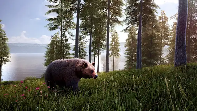 Hunting Simulator 2 - Bear Hunter Edition screenshot 1