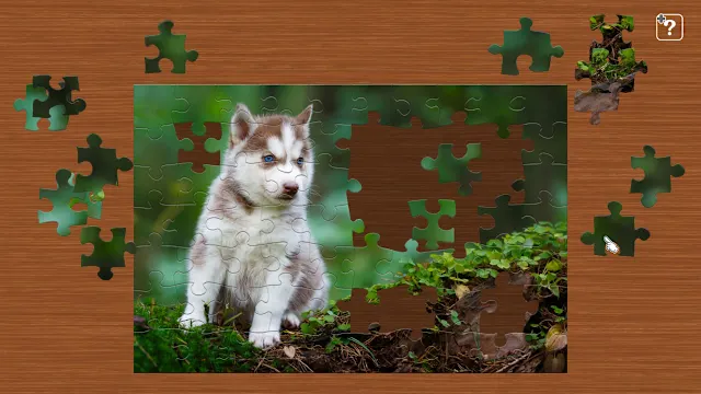 Jigsaw Masterpieces Starters Bundle Pack  - Cats & Dogs Edition - screenshot 4