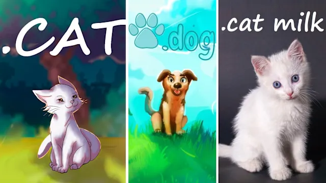 BUNDLE CATS + DOG