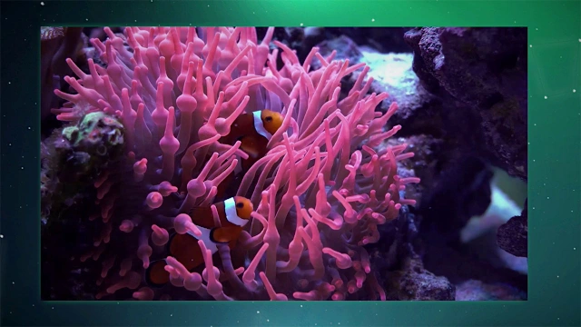 Puzzle Galaxy: Photo Bundle - 90 puzzles screenshot 2