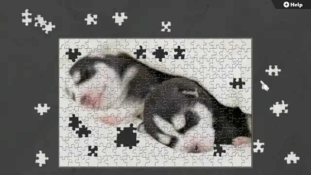 Jigsaw Masterpieces 2　Puppy Starter Pack with Moving Puzzle screenshot 3