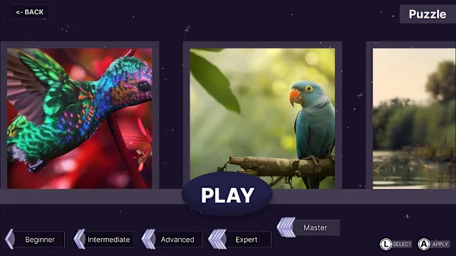 Puzzle Master - Complete DLC Bundle screenshot 4