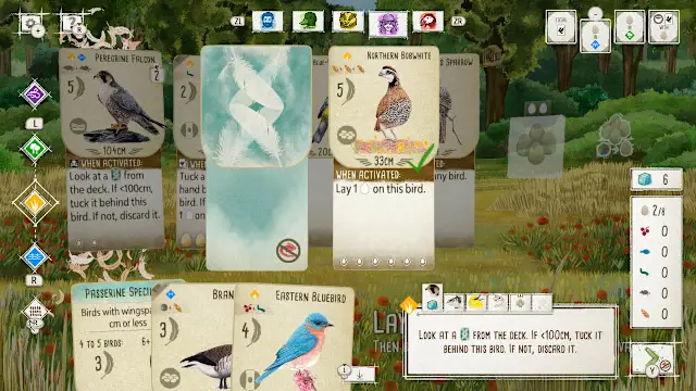 Birds and Cats screenshot 2
