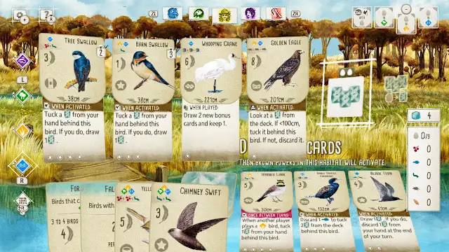 Birds and Cats screenshot 0