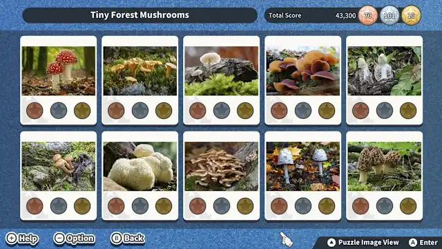 Additional Puzzle Pack Set Vol.22 screenshot 2