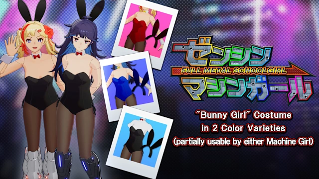 "Bunny Girl" Costume in 2 Color Varieties (partially usable by either Machine Girl)