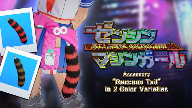 Accessory: "Raccoon Tail" in 2 Color Varieties