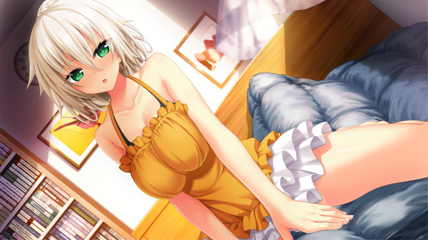 The Princess, the Stray Cat, and Matters of the Heart screenshot 12
