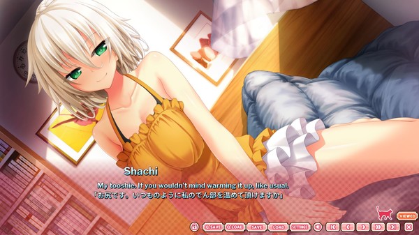 The Princess, the Stray Cat, and Matters of the Heart screenshot 4