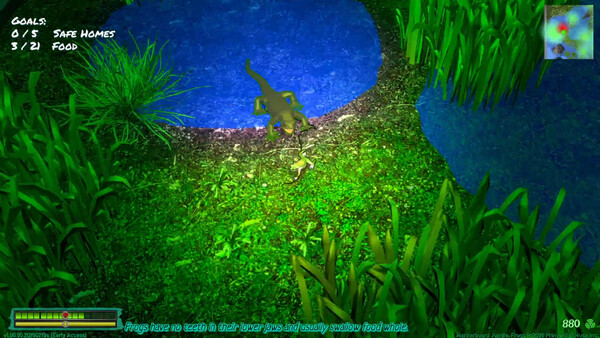 Frog Jungle screenshot 7