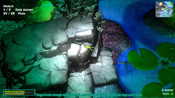 Frog Jungle screenshot 9