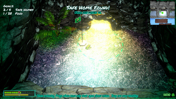 Frog Jungle screenshot 1