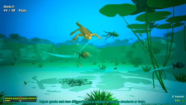 Frog Jungle screenshot 5