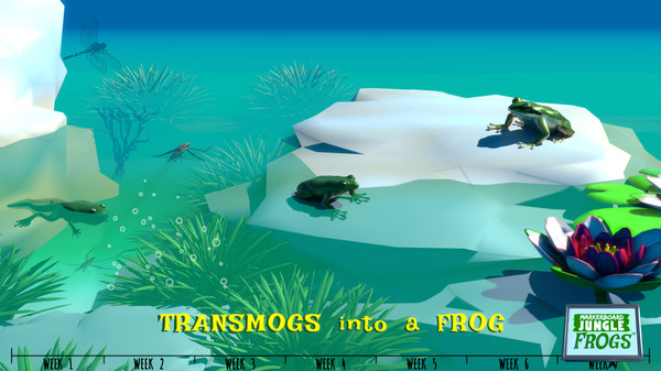 Frog Jungle screenshot 12