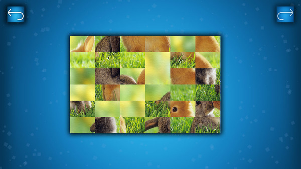 PUZZLE: ANIMALS screenshot 3