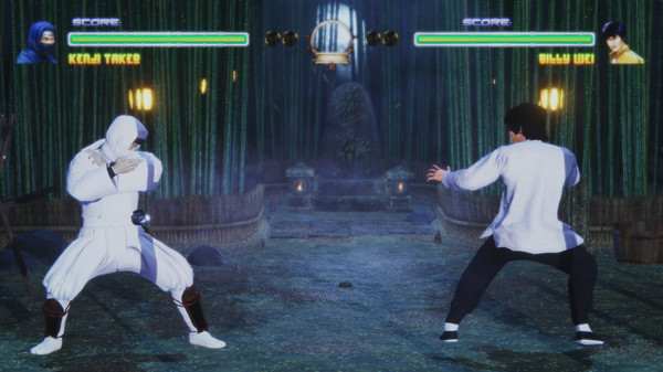 Fighters Legacy screenshot 2