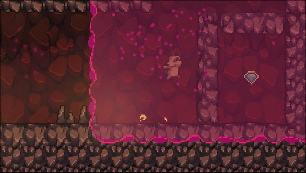 Rift Racoon screenshot 5