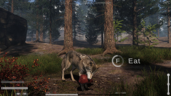 The WILDS screenshot 1